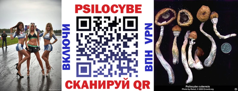 Псилоцибиновые грибы Cubensis Липецк